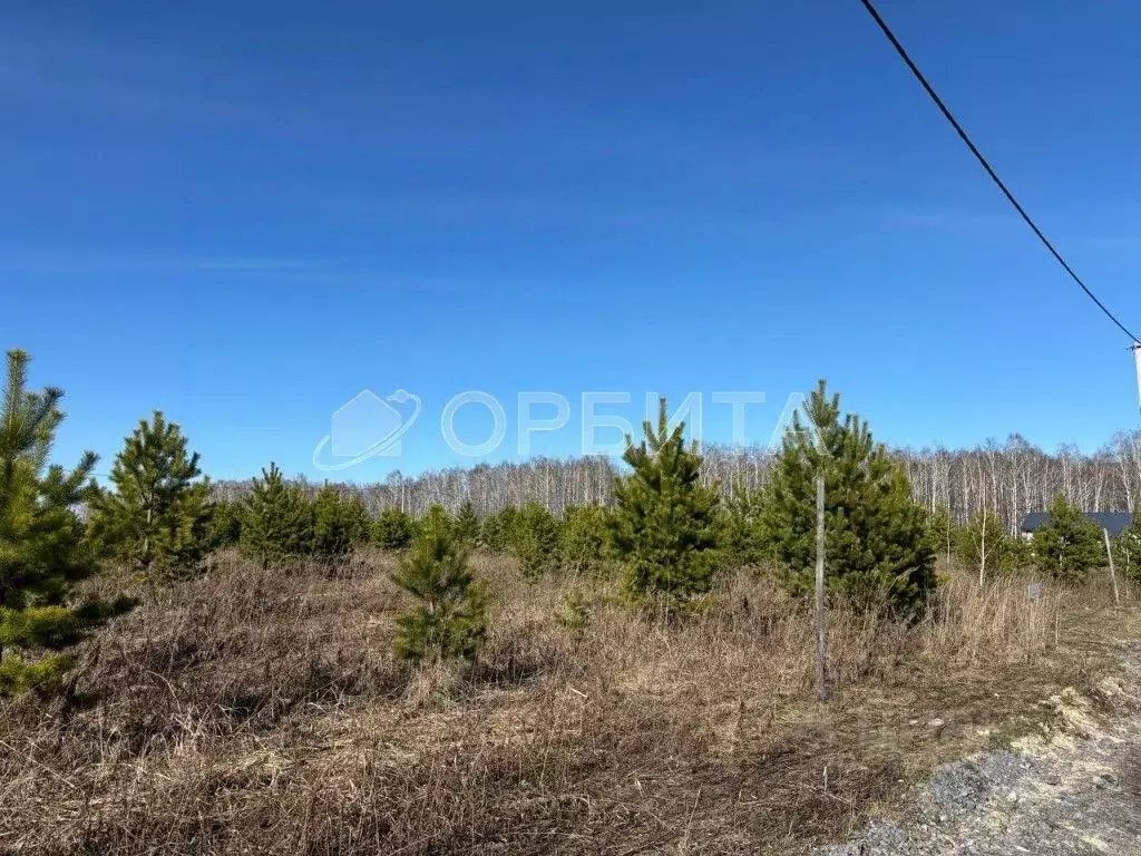 Участок в Тюменская область, Тюменский район, д. Елань 14 (7.5 сот.) - Фото 0