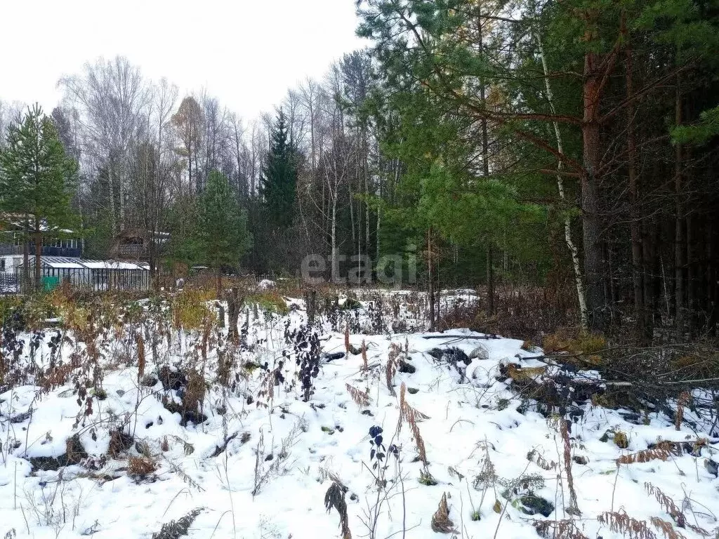 Участок в Свердловская область, Верхняя Салда (9 м) - Фото 0