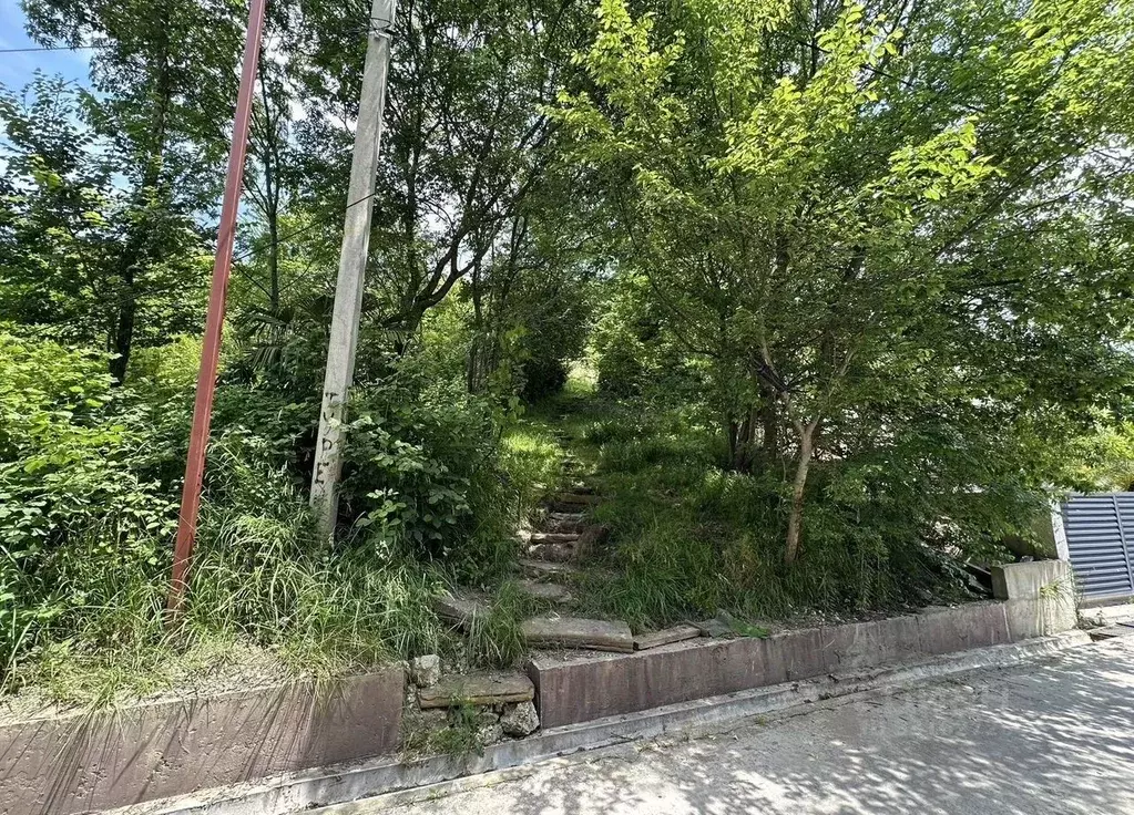 Участок в Краснодарский край, Сочи Водоканал СНТ, ул. Туренко, 64 (6.0 ... - Фото 1