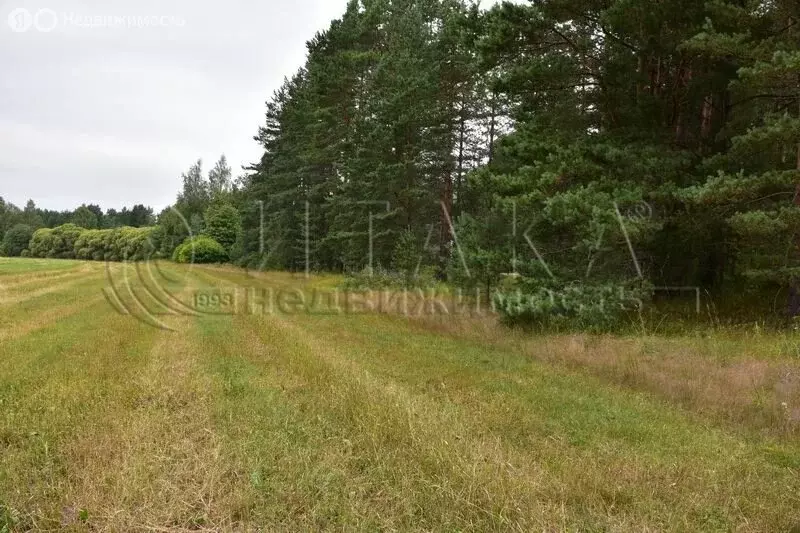 Участок в Выборгский район, Красносельское сельское поселение, посёлок ... - Фото 1