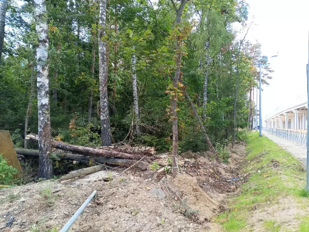 Продается участок в дп Черкизово - Фото 2