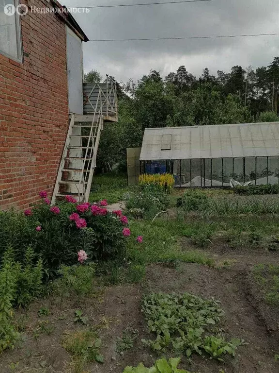 Дом в Екатеринбург, жилой район Центральный (20 м) - Фото 1