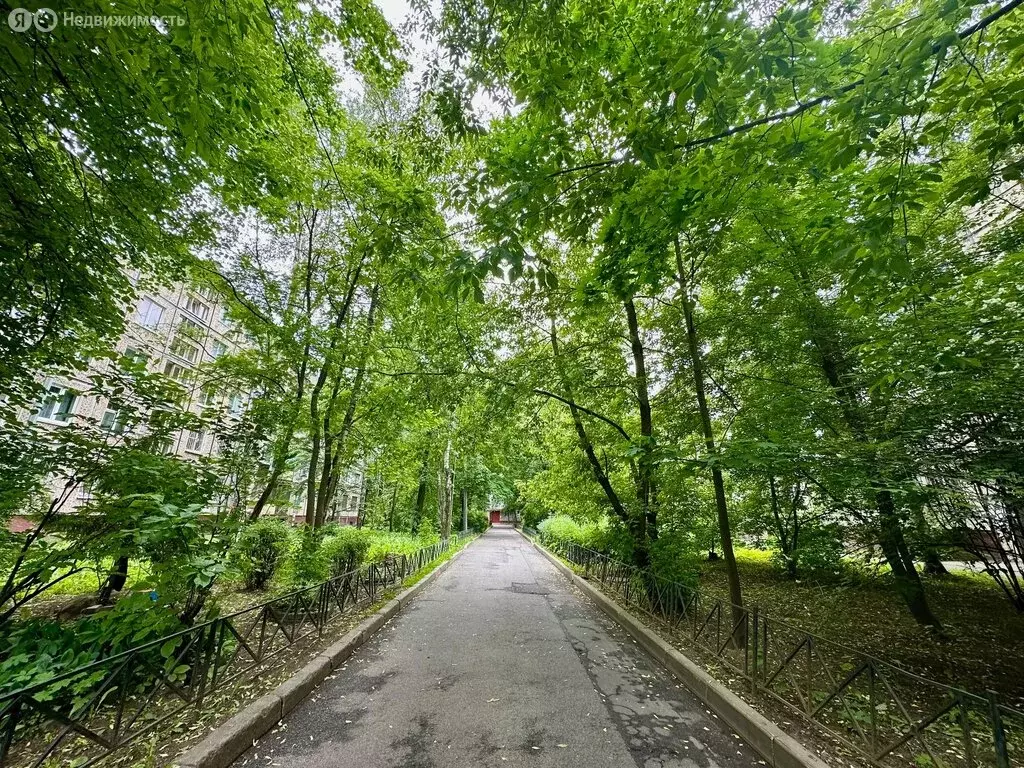 2-комнатная квартира: Санкт-Петербург, Витебский проспект, 61к2 (49 м) - Фото 0