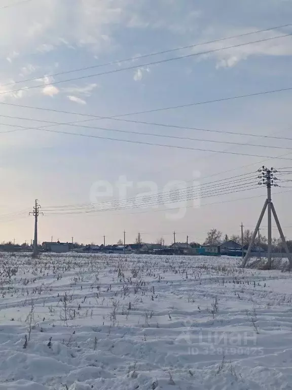 Участок в Амурская область, Благовещенский район, с. Волково  (14.0 ... - Фото 2
