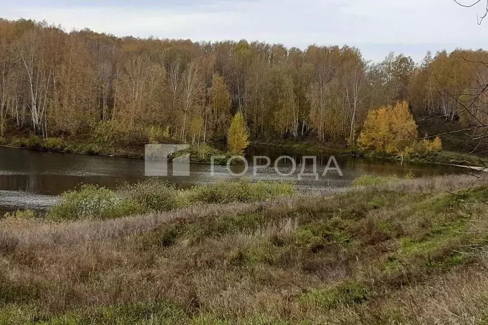 Участок в Новосибирская область, Болотнинский район, д. Кругликово ул. ... - Фото 0