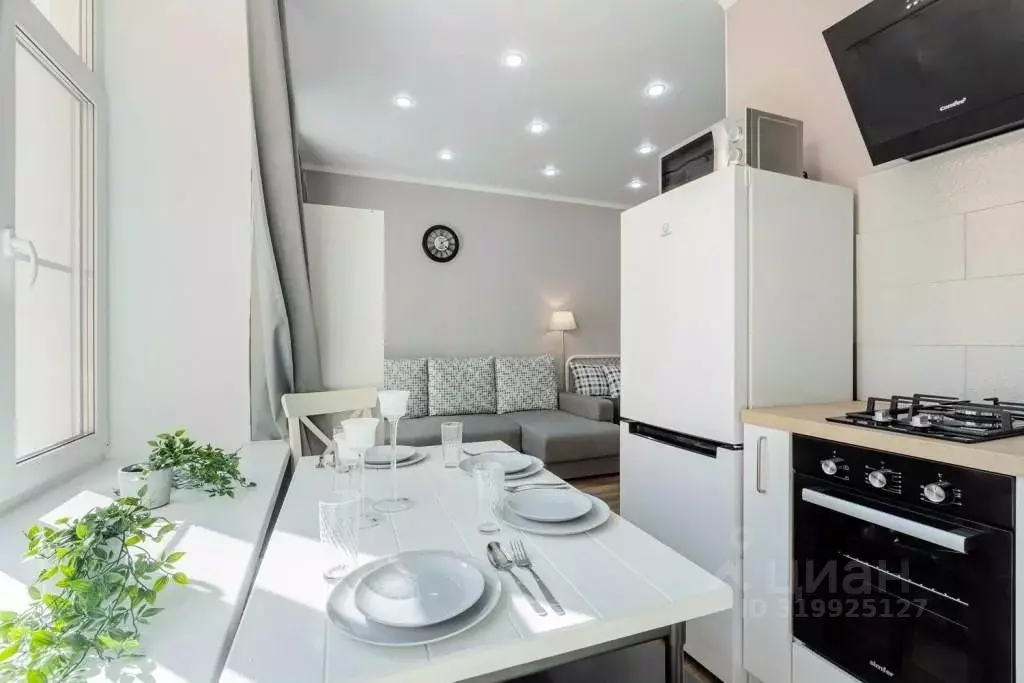 1-к кв. Санкт-Петербург Невский просп., 63 (30.0 м) - Фото 2