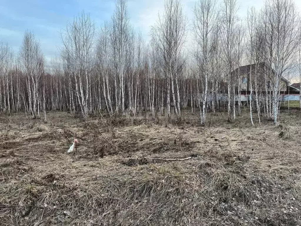 Участок в Челябинская область, Сосновский район, Кременкульское с/пос, ... - Фото 0