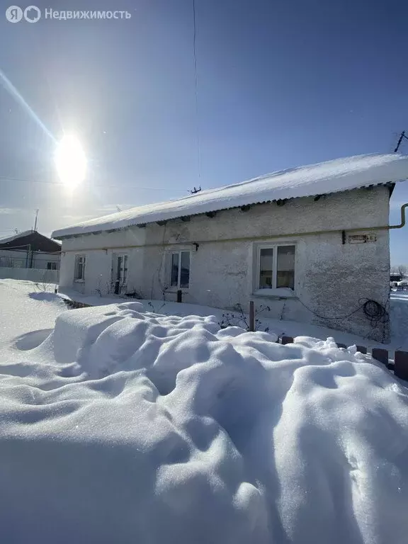 1-комнатная квартира: село Покровское, улица Птицеводов, 6 (21.7 м) - Фото 1