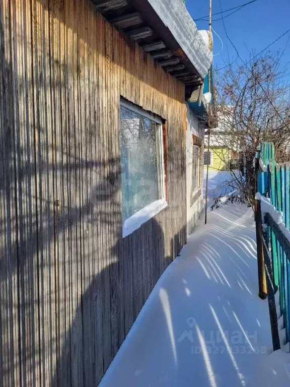 Участок в Тюменская область, Тюмень Плодовое СНТ, ул. Сосновая, 11 ... - Фото 1