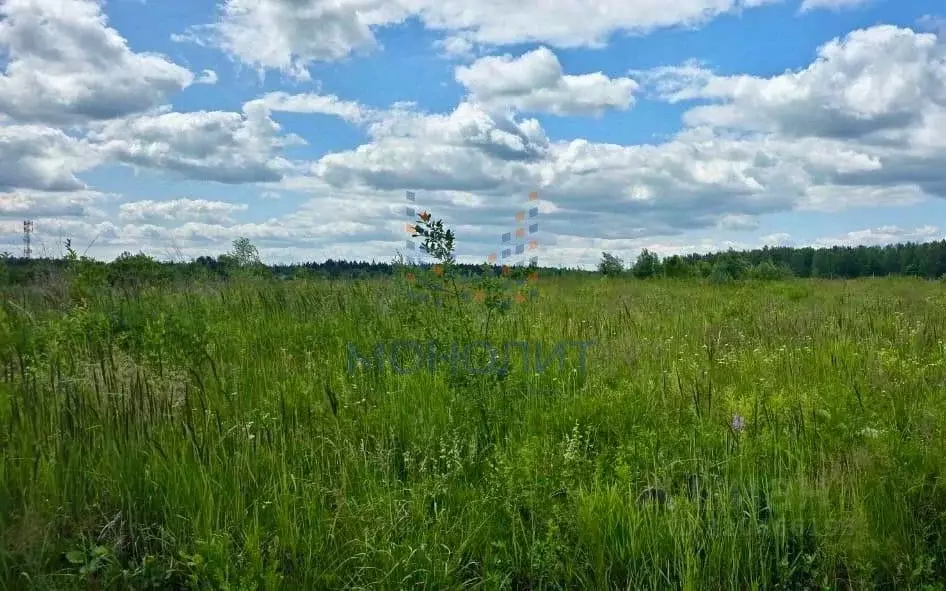 Участок в Москва Тимуркино ТСН,  (7.0 сот.) - Фото 0