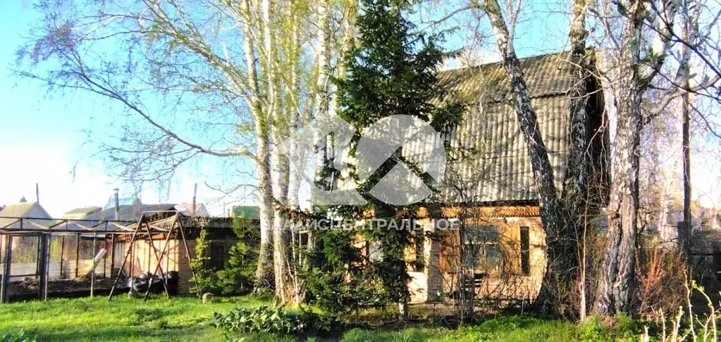 Дом в Новосибирская область, Искитим Цементник СНТ, 8 (49 м) - Фото 0