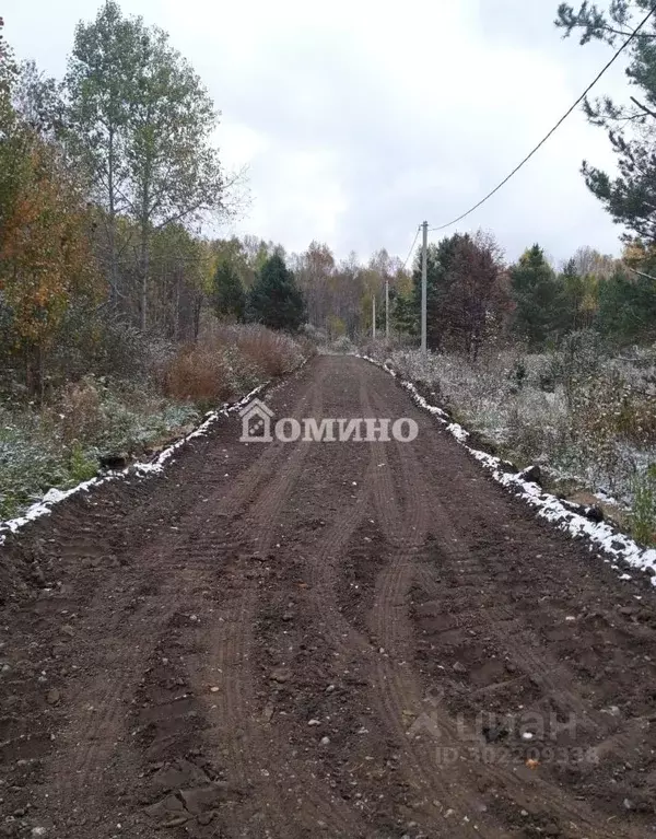 Участок в Тюменская область, Нижнетавдинский район, Суюндкуль СНТ  ... - Фото 1