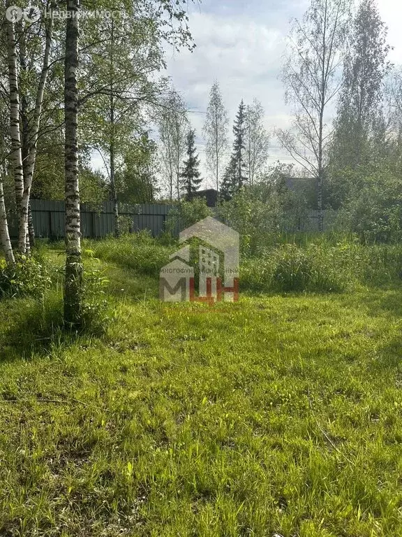 Участок в Тверская область, Конаковский муниципальный округ, СНТ ... - Фото 1