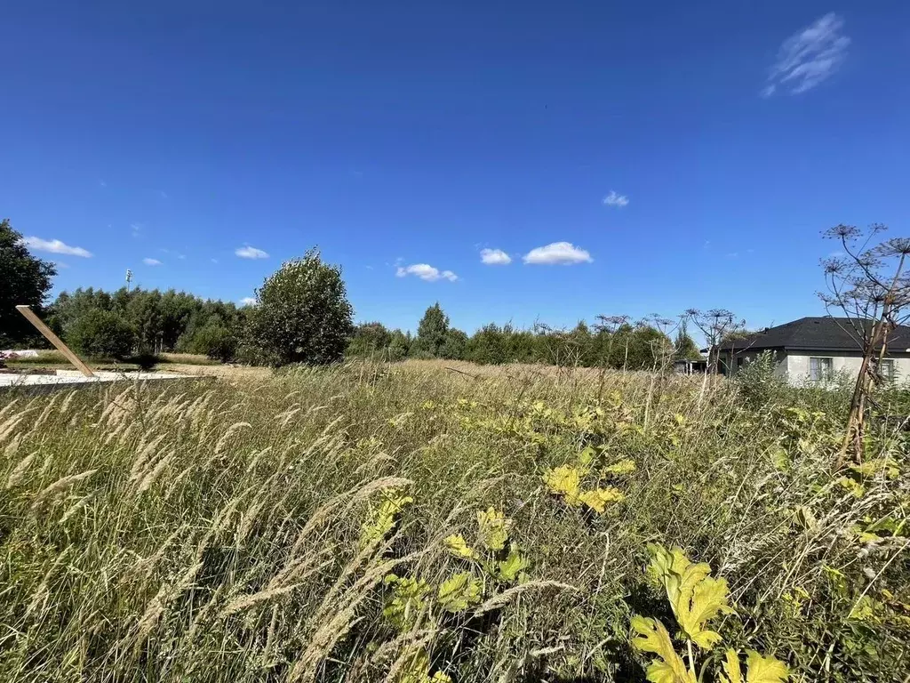 Участок в Московская область, Истра муниципальный округ, д. Котово, ... - Фото 2