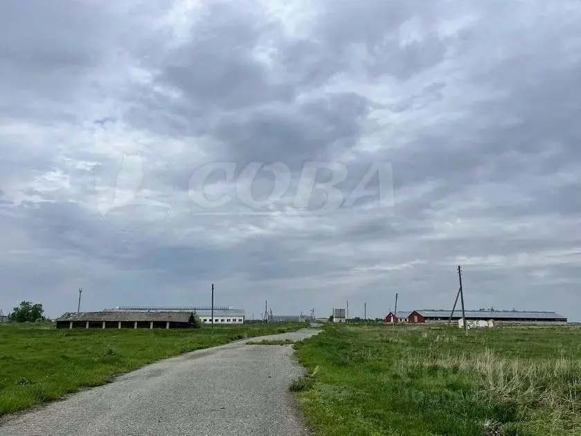 Участок в Тюменская область, Исетский район, с. Верхнебешкиль ул. ... - Фото 0