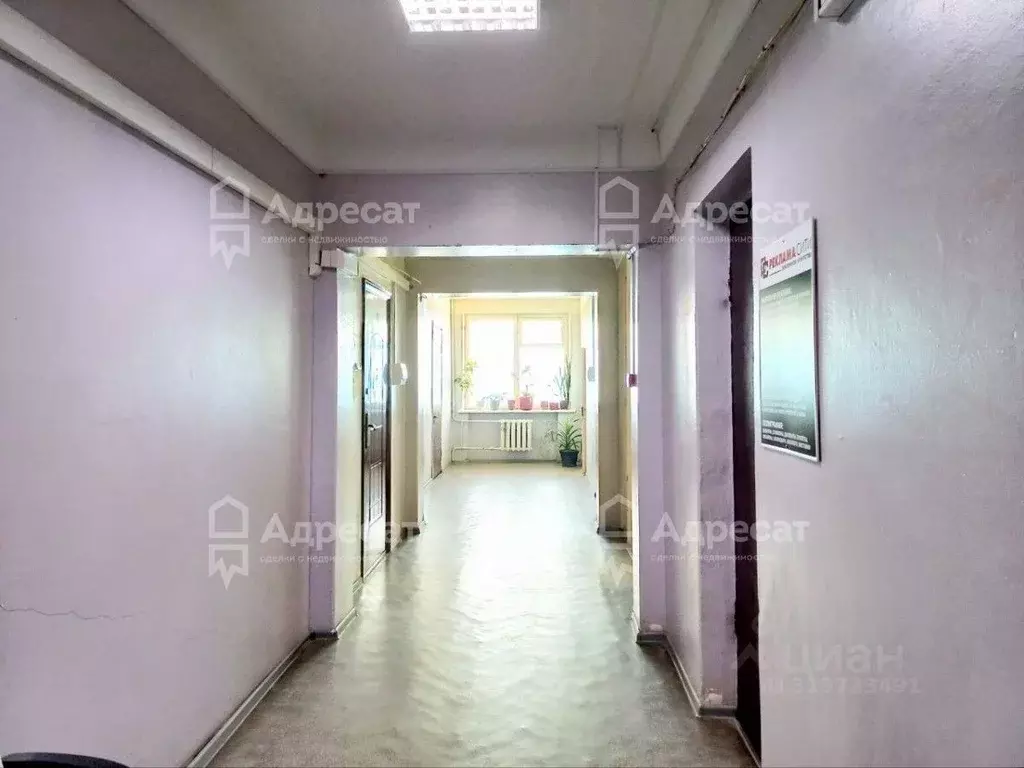 Помещение свободного назначения в Волгоградская область, Волгоград ул. ... - Фото 1