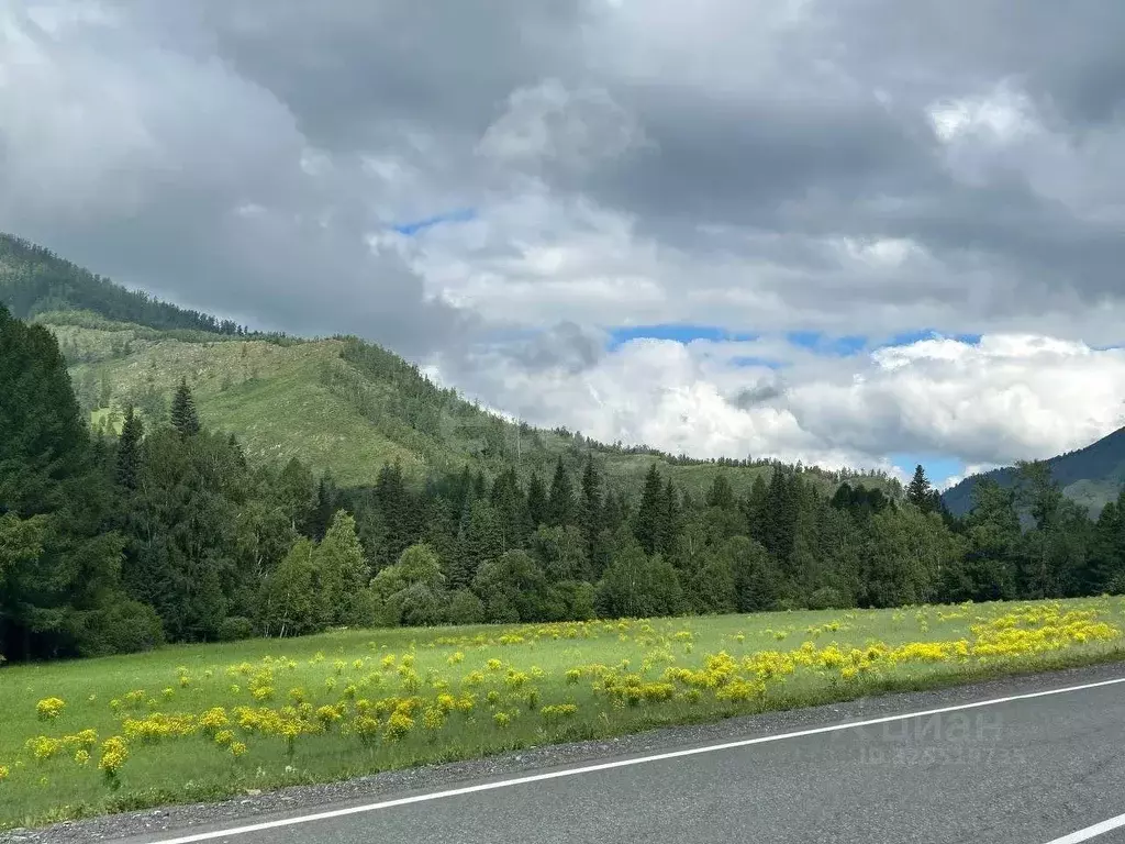 Участок в Алтай, Онгудайский район, Теньгинское с/пос, с. Нефтебаза ... - Фото 1