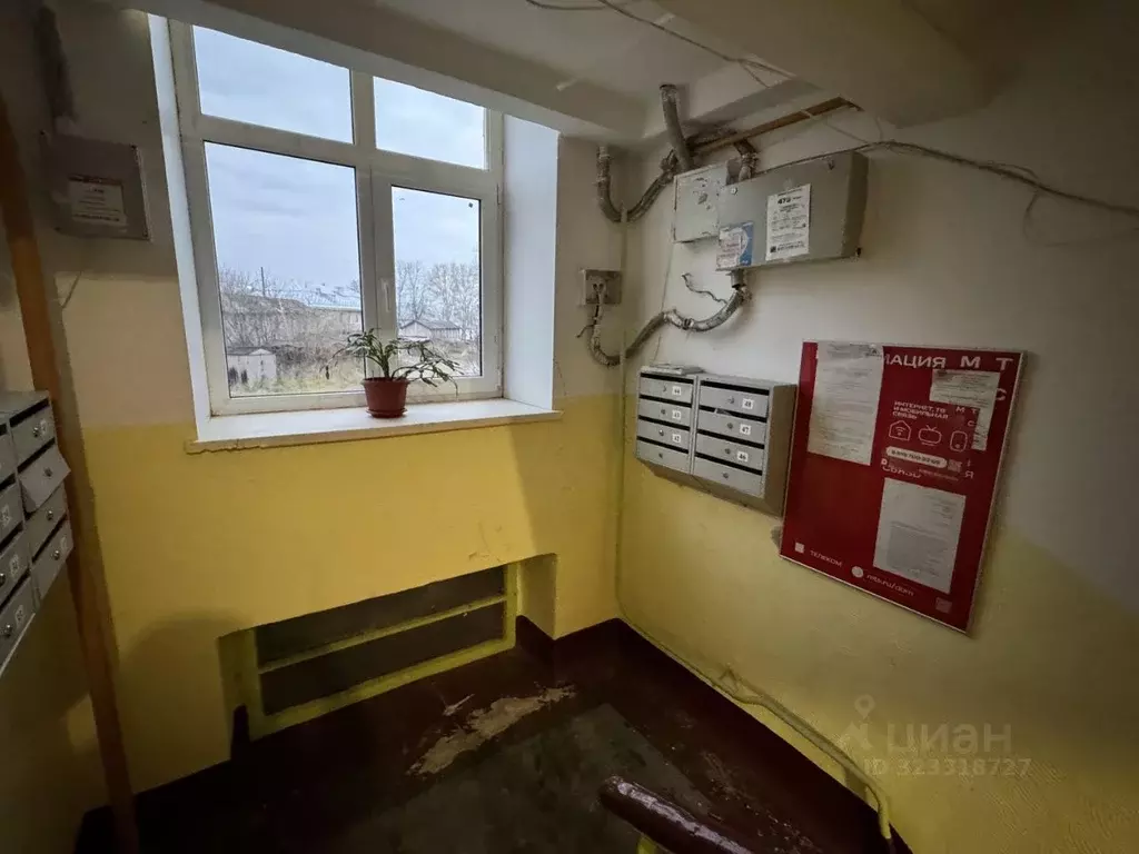 2-к кв. Пермский край, Соликамск Соликамское ш., 3А (43.9 м) - Фото 2