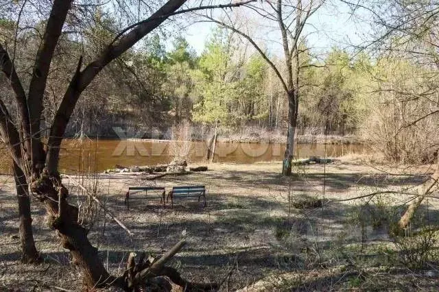 Дом в Алтайский край, Барнаул городской округ, Ползуново ст. ул. ... - Фото 2