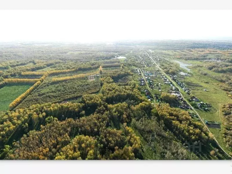 Участок в Новосибирская область, Новосибирский район, Станционный ... - Фото 1