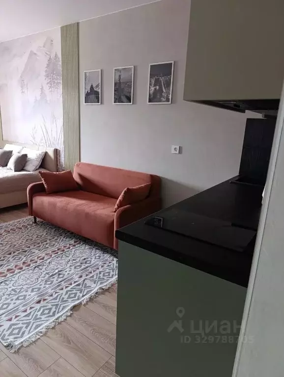 Студия Санкт-Петербург ул. Виктора Конецкого, 5 (28.0 м) - Фото 2