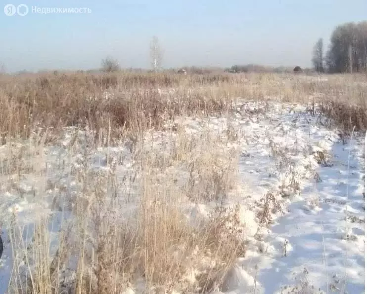 Участок в посёлок Металлургов, Весенняя улица (16.4 м) - Фото 1