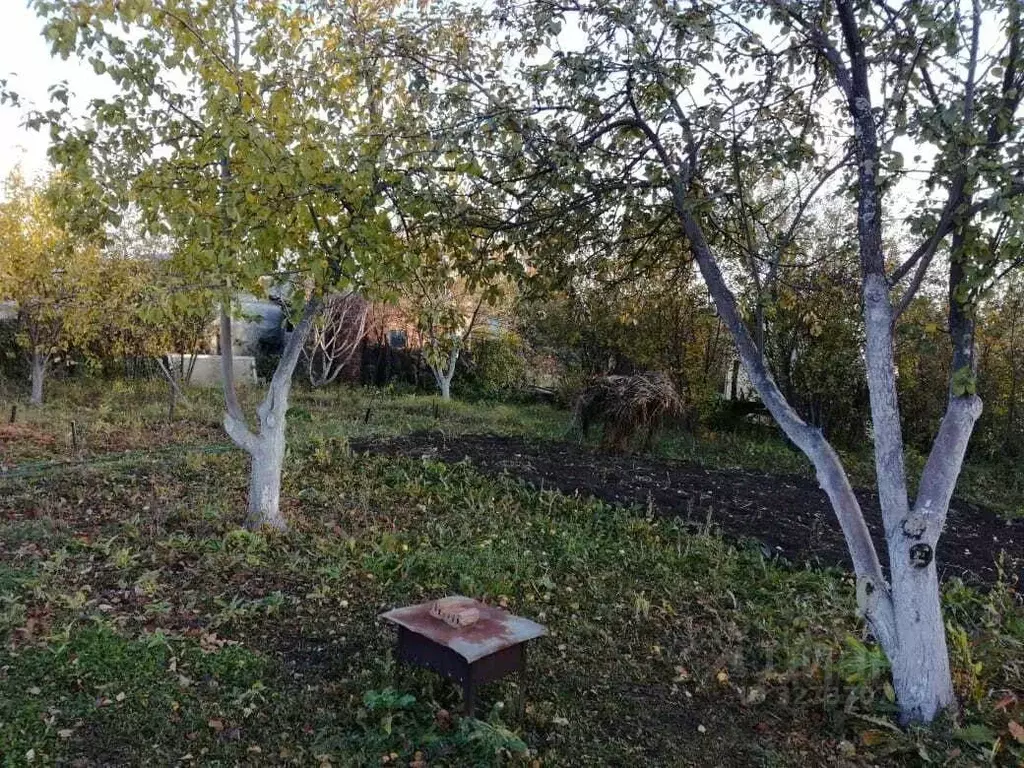 Дом в Челябинская область, Челябинск Нефтяник СНТ, ул. 13-я, 681 (20 ... - Фото 1