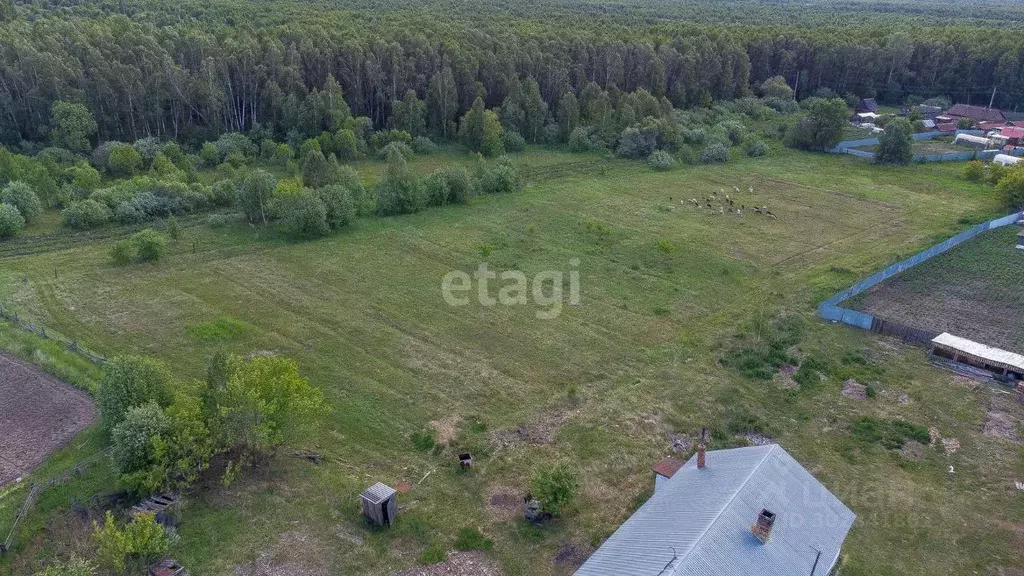 Участок в Тюменская область, Нижнетавдинский район, пос. Лесозаводский ... - Фото 1