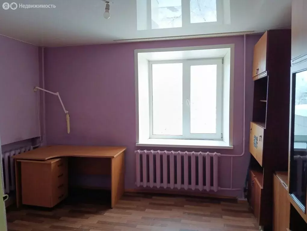 1-комнатная квартира: Пермь, улица Маяковского, 43 (27.9 м) - Фото 1