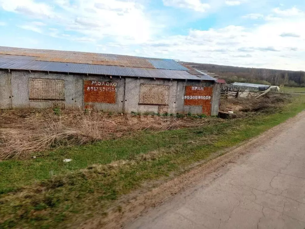 Участок в Нижегородская область, Богородский муниципальный округ, ... - Фото 0