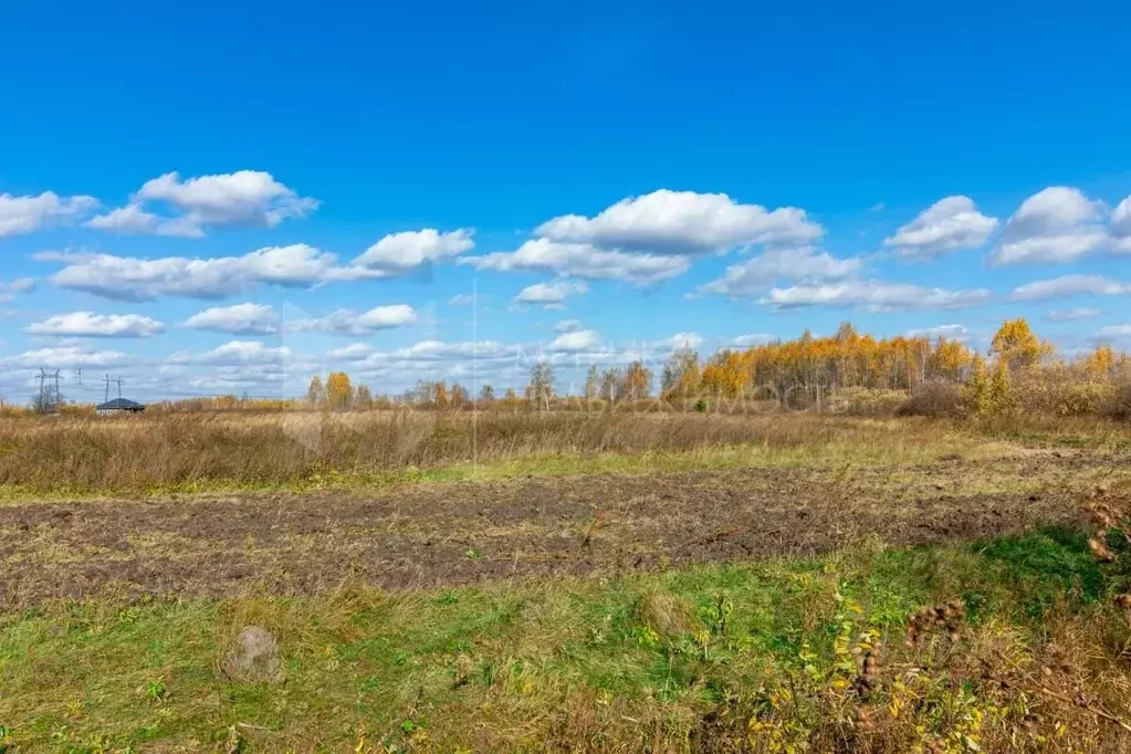 Участок в Тюменская область, Тюменский район, с. Борки  (18.0 сот.) - Фото 1