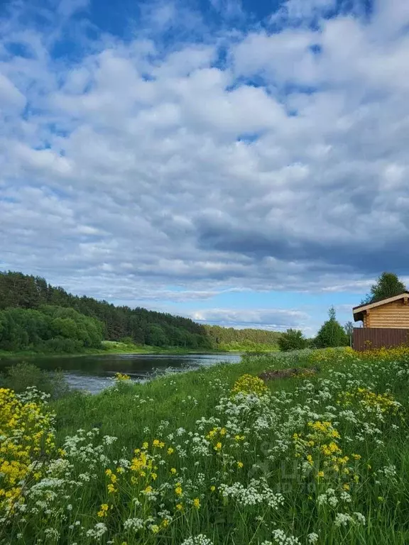 Участок в Тверская область, Калининский район, Медновское с/пос, д. ... - Фото 1