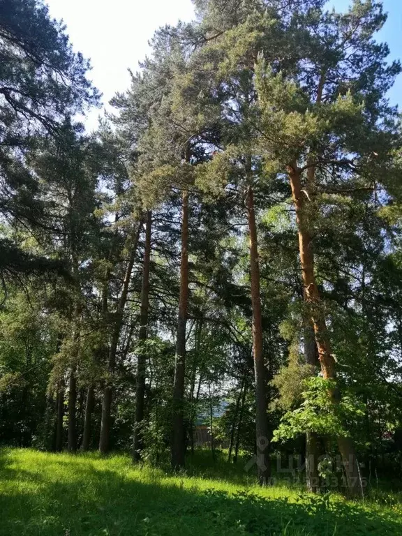 Участок в Московская область, Серпухов городской округ, д. ... - Фото 2