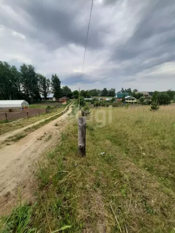 Участок в Алтайский край, Бийск городской округ, с. Фоминское пер. ... - Фото 1