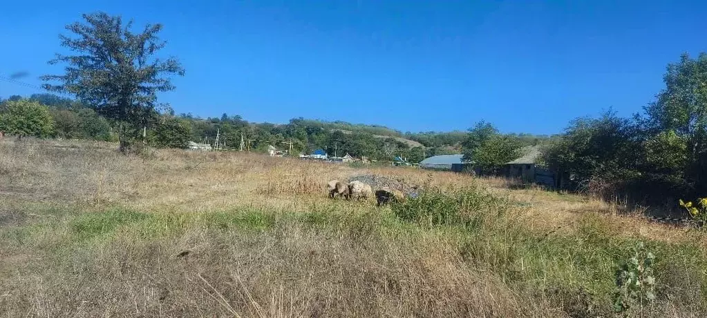 Участок в Краснодарский край, Лабинский район, Владимирская ст-ца ... - Фото 1