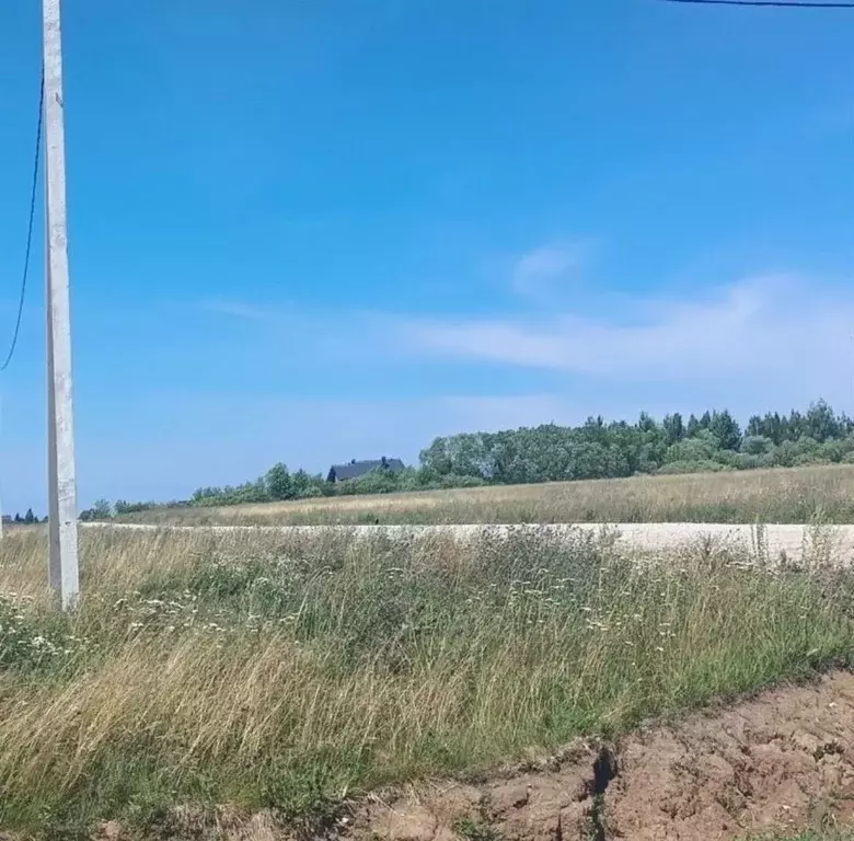 Участок в Новгородская область, Новгородский район, Ракомское с/пос, ... - Фото 2