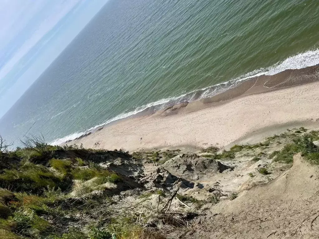 3-к кв. Калининградская область, Светлогорский городской округ, пос. ... - Фото 1
