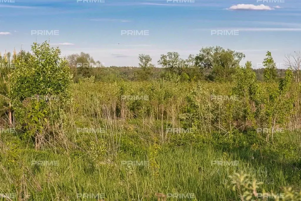 Участок в Московская область, Одинцовский городской округ, д. Сколково ... - Фото 0