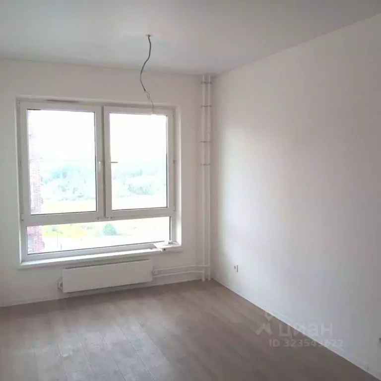 1-к кв. Нижегородская область, Нижний Новгород д. Утечино, ул. ... - Фото 1