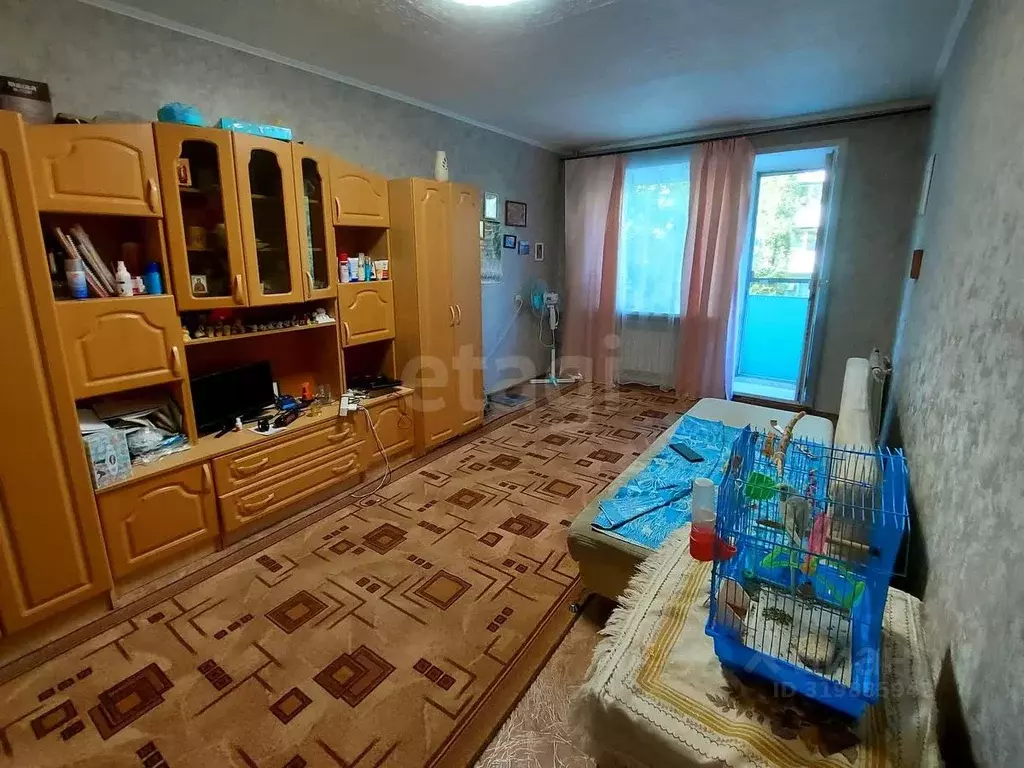 1-к кв. Саратовская область, Саратов ул. Энергетиков, 5 (29.9 м) - Фото 0