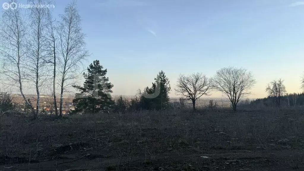 Участок в Ульяновск, СТ Ласточка (14.45 м) - Фото 2