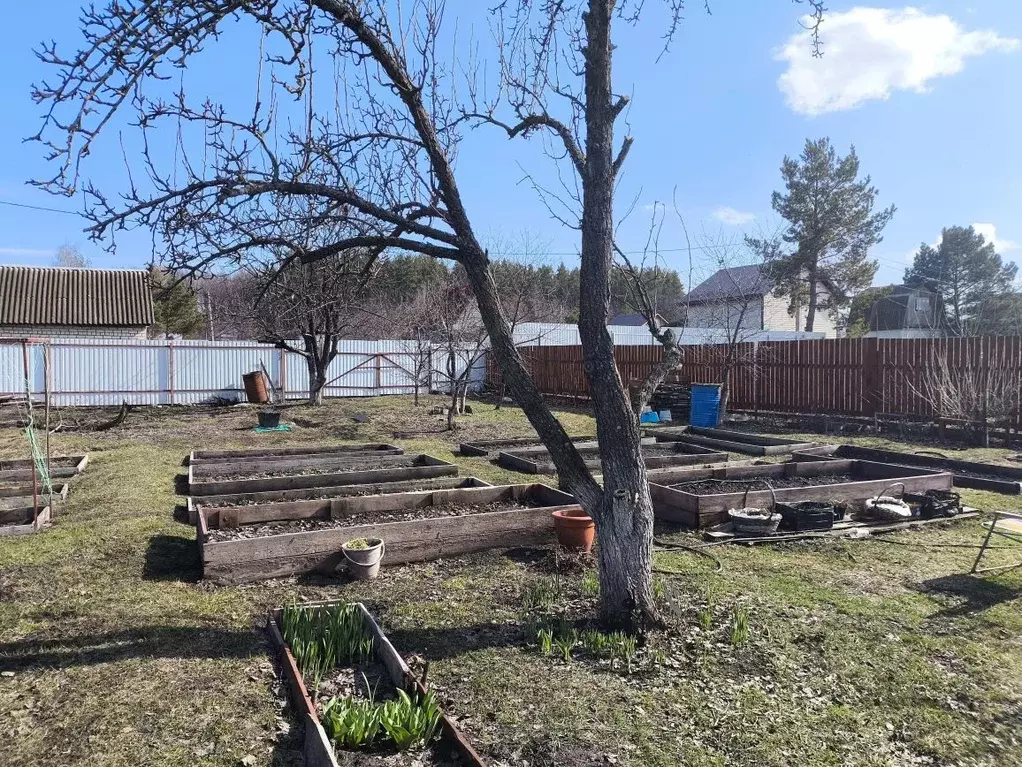 Участок в Ульяновская область, Ульяновск Оазис-1 СНТ, 591 (4.7 сот.) - Фото 1