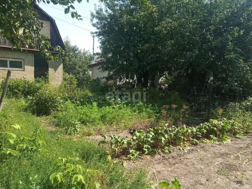 Купить Дачу В Тамбовской Области