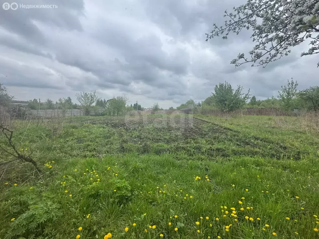 Участок в Брянск, садоводческое товарищество Надежда (6 м) - Фото 2
