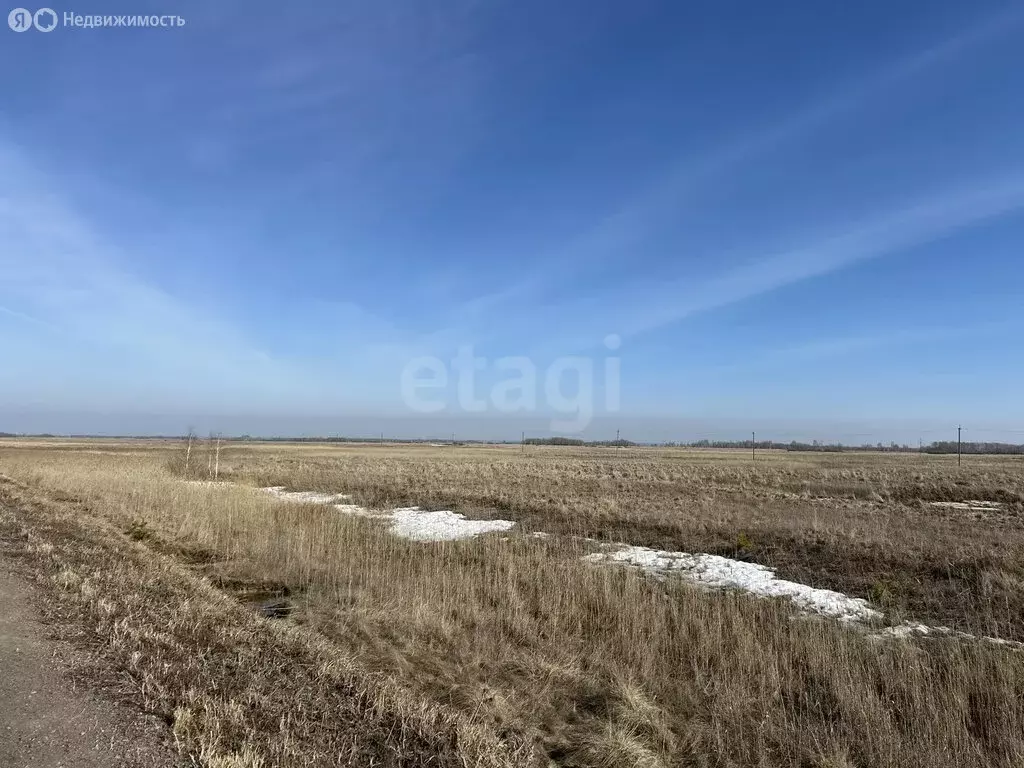 Участок в Курганская область, Белозерский муниципальный округ, село ... - Фото 2