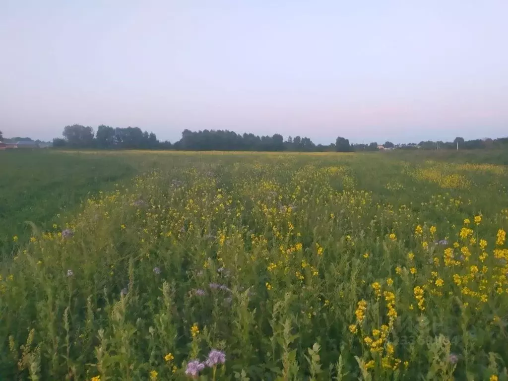 Участок в Чувашия, Батыревский муниципальный округ, д. Новое ... - Фото 1
