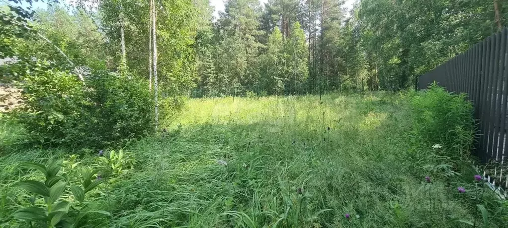 Участок в Свердловская область, Сысертский муниципальный округ, ... - Фото 0