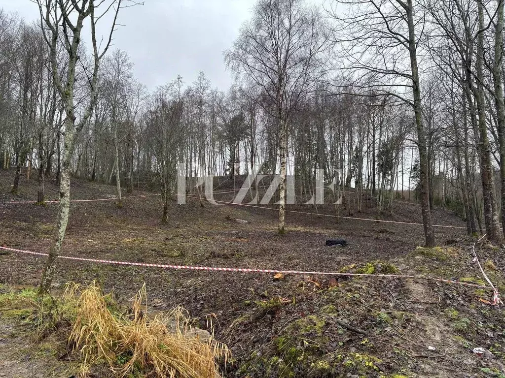 Участок в Ленинградская область, Приозерский район, Петровское с/пос, ... - Фото 2