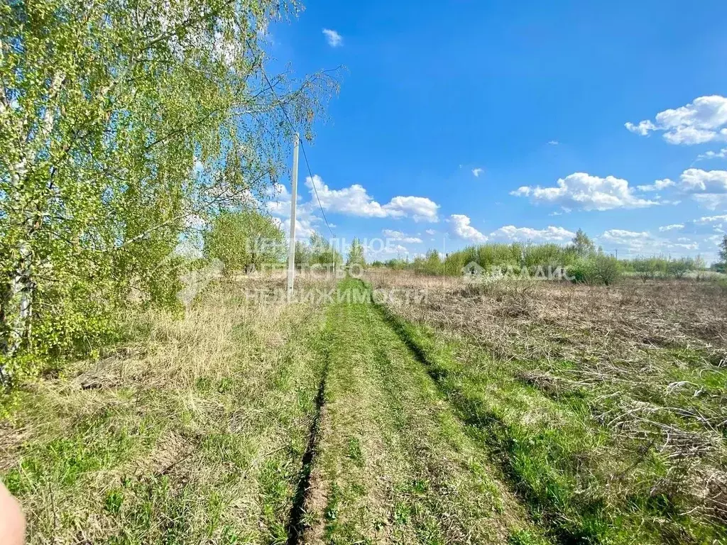 Участок в Рязанская область, Рыбновский район, Ходынинское с/пос, ... - Фото 1