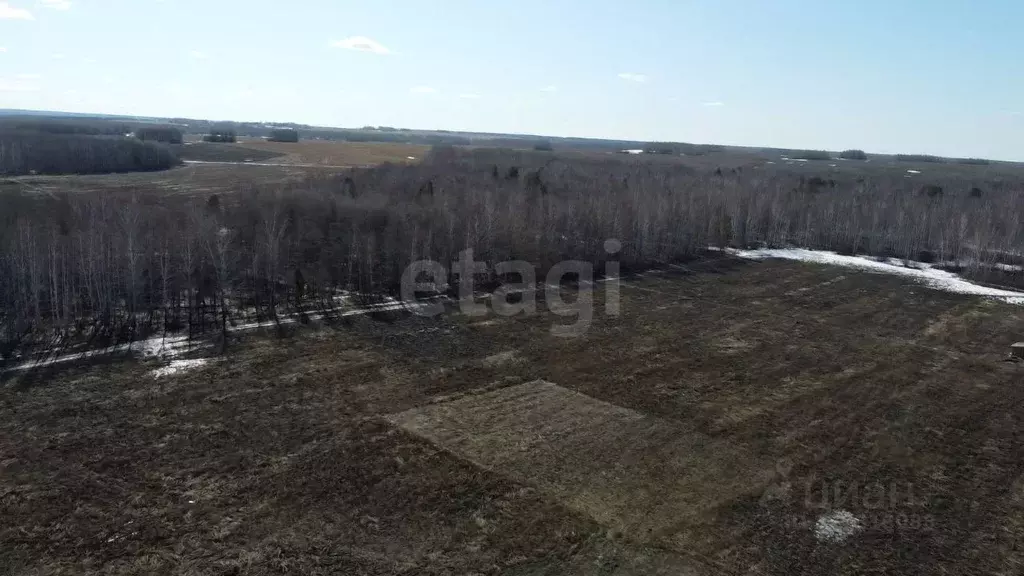 Участок в Тюменская область, Тюменский муниципальный округ, ... - Фото 1